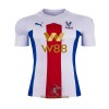 Officiële Voetbalshirt Crystal Palace Uit 2020-21 - Heren